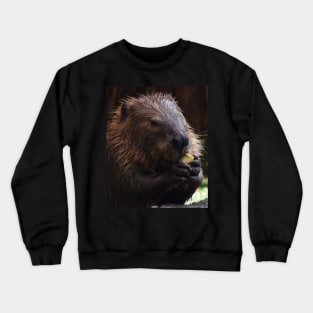 North America Beaver Crewneck Sweatshirt